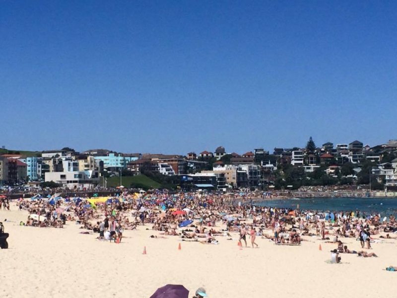 Bondi Beach Crowd